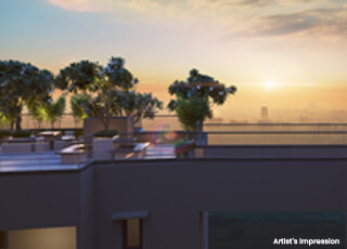 Sky Bridge