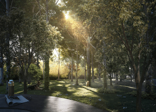 Forest With Pickle Ball