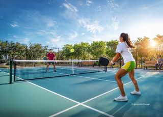 International Standard Pickle Ball Court