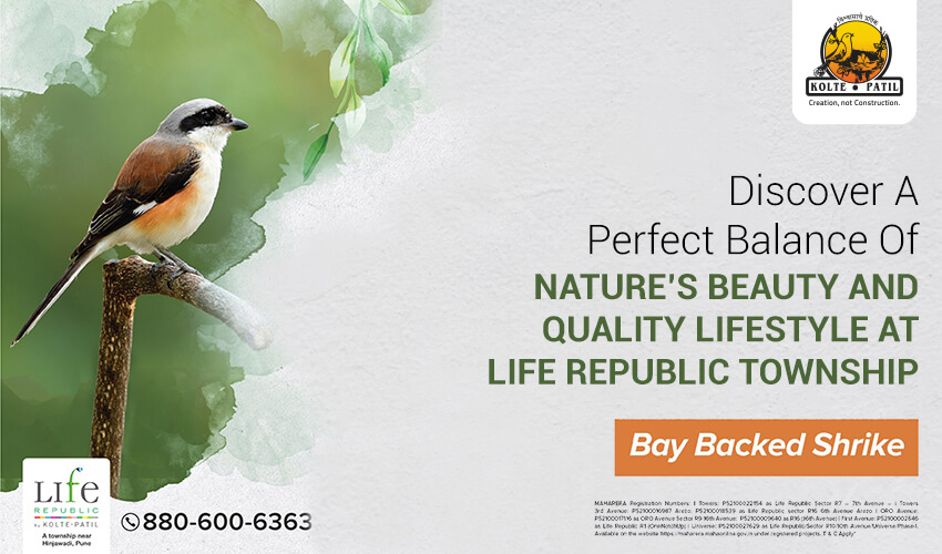Discover a perfect balance of nature’s beauty and quality lifestyle at Life Republic Township
