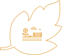 kolte icon